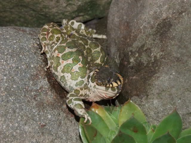 r2010_07220287.jpg