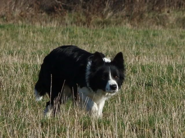 r2010_11150201.jpg