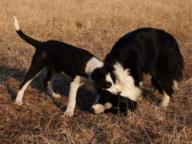 r2011_03030641.jpg