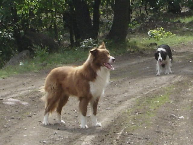 rDSC07998.jpg