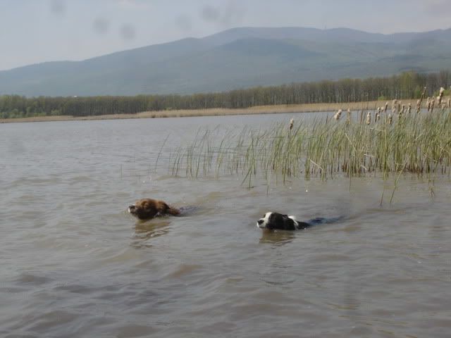 rDSC09268.jpg