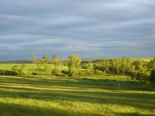 rDSC09769.jpg