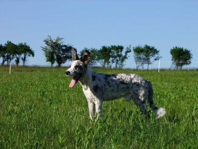 s2011_05110383.jpg