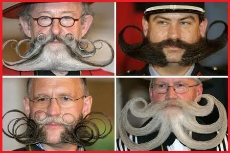 beards Pictures, Images and Photos