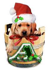 Puppy Dog Bucket alphabet Christmas labrador alpha letter a Pictures, Images and Photos