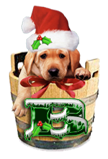 Puppy Dog Bucket alphabet Christmas alpha letter b Pictures, Images and Photos