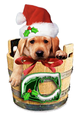Puppy Dog Bucket alphabet Christmas alpha letter c Pictures, Images and Photos