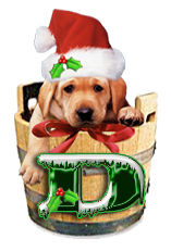 Puppy Dog Bucket alphabet Christmas alpha letter d Pictures, Images and Photos
