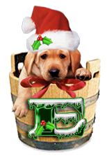 Puppy Dog Bucket alphabet Christmas alpha letter e Pictures, Images and Photos