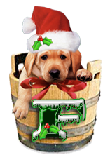 Puppy Dog Bucket alphabet Christmas alpha letter f Pictures, Images and Photos