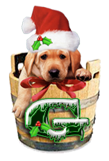 Puppy Dog Bucket alphabet Christmas alpha letter g Pictures, Images and Photos