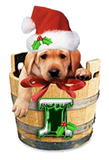 Puppy Dog Bucket alphabet Christmas labrador alpha letter i Pictures, Images and Photos