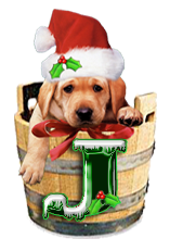 Puppy Dog Bucket alphabet Christmas labrador alpha letter j Pictures, Images and Photos