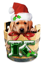 Puppy Dog Bucket alphabet Christmas labrador alpha letter k Pictures, Images and Photos