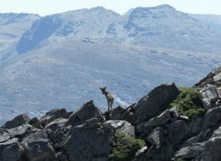 LOS PICAPIEDRA SALEN DE GUADIX PARA VER MUNDO - Blogs de España - Para los que les aman el senderismo. (54)