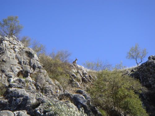 Explorando nuevas rutas pero ahora bajo tierra. - LOS PICAPIEDRA SALEN DE GUADIX PARA VER MUNDO (4)