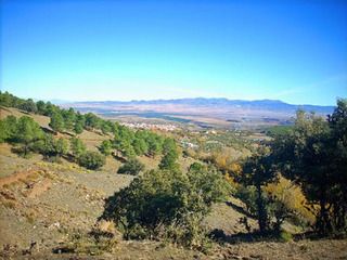 LOS PICAPIEDRA SALEN DE GUADIX PARA VER MUNDO - Blogs de España - Para los que les aman el senderismo. (10)