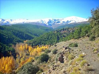 LOS PICAPIEDRA SALEN DE GUADIX PARA VER MUNDO - Blogs de España - Para los que les aman el senderismo. (11)
