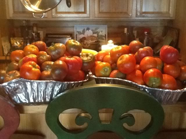 [Image: Tomatoes.jpg]