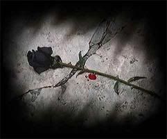 Una rosa negra marca el sitio...