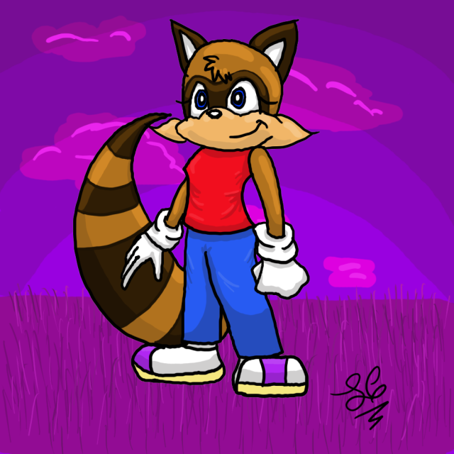 sonicraccoon.png picture by samanthacannon