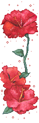 32cz91.gif others image by ngsksandy