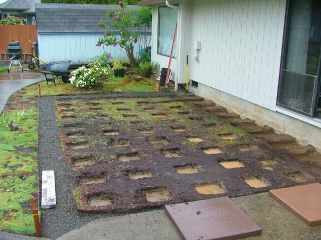 DSCF4898.jpg
