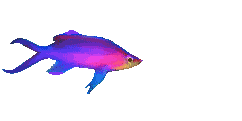 fish_26.gif