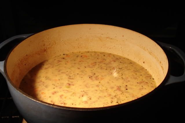 CheesburgerSoup006.jpg