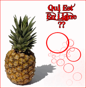 Qui est en ligne ?