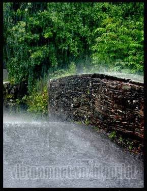 images1536571 Hard rain by pixini - Baarishon Ka Mausam ( My Fav )