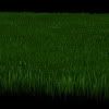 How to make a realistic Grass with VRay 3dsMax tutorial