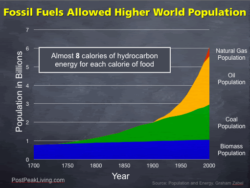 Fossil Fuels and Population