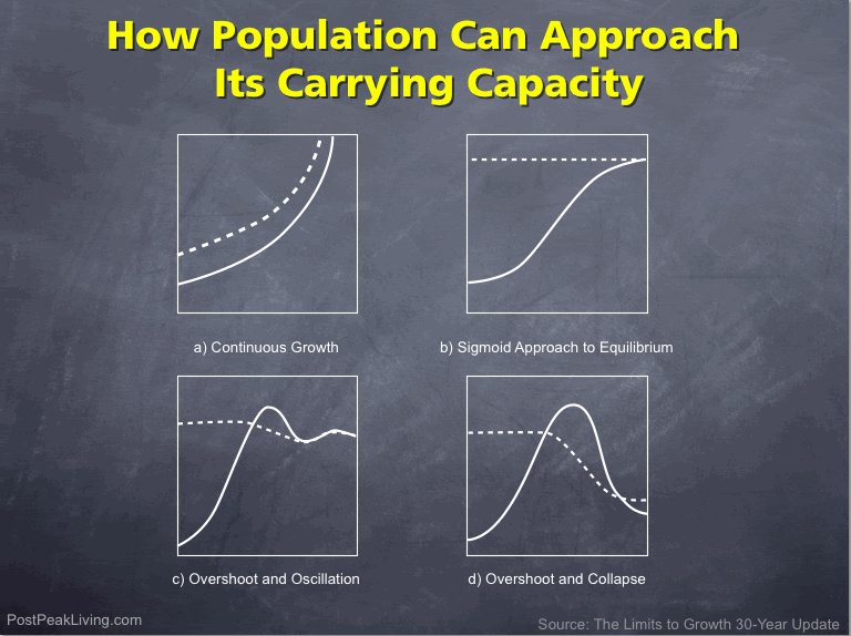 Population Approaches Carrying Capacity