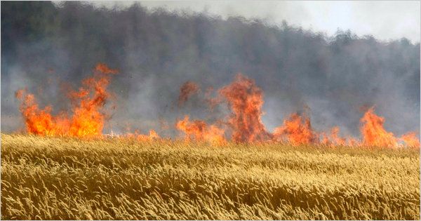 Russian Fields Burning