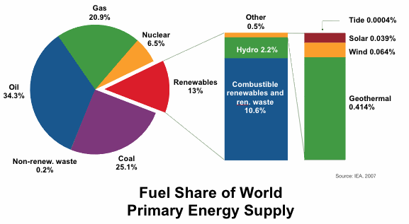 World Primary Energy Supply