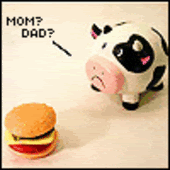 Cow Mom Dad