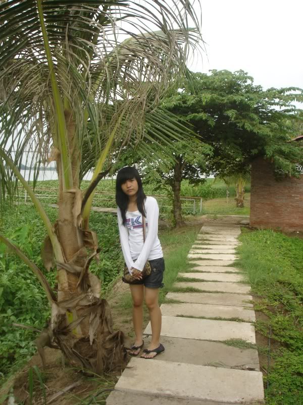 jalapeno cheddar summer sausage recipes sau