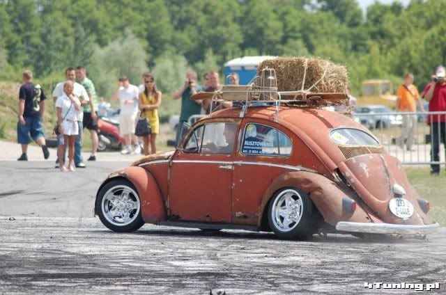 224vw-garbus-rat-style.jpg