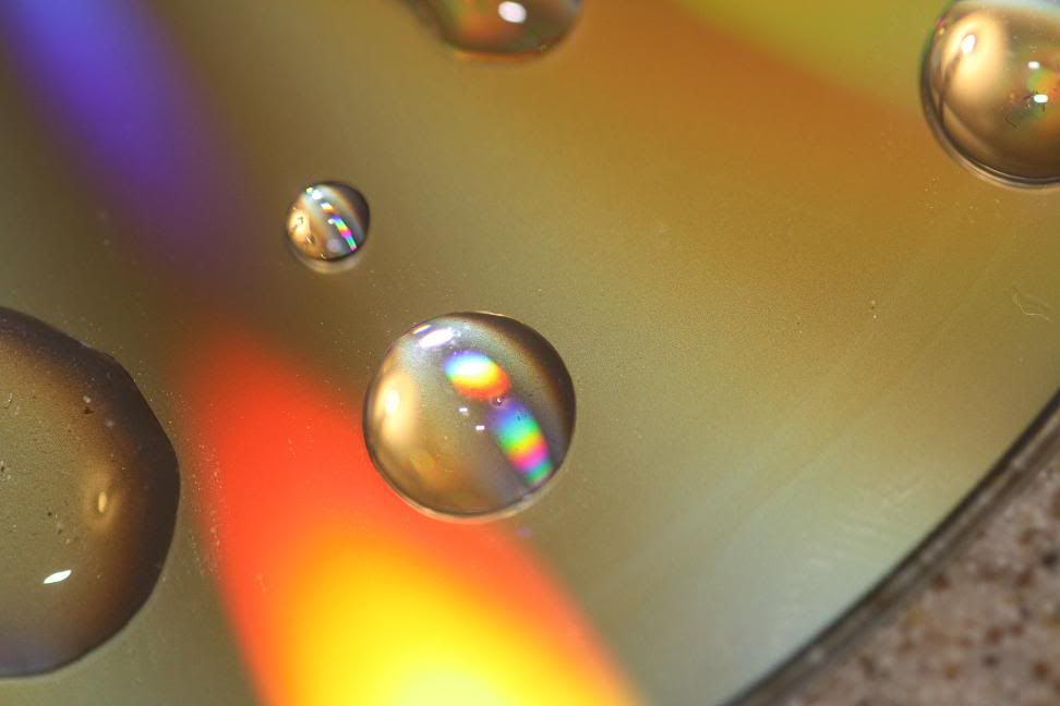 IMAGE: http://i300.photobucket.com/albums/nn31/johnnyk1029/IMG_0741.jpg