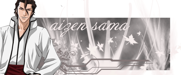 aizen-sama-1.png