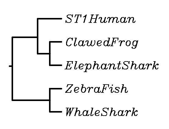 external image Screen%20Shot%202015-04-13%20at%209.24.06%20PM_zpssz9u9eur.png