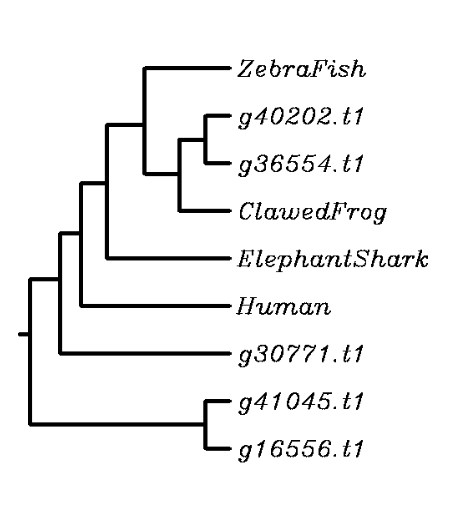 external image Screen%20Shot%202015-04-13%20at%209.58.30%20PM_zpsvzqqggsb.png