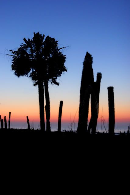 IMAGE: http://i300.photobucket.com/albums/nn33/pyroben92/4H11PRINT.jpg