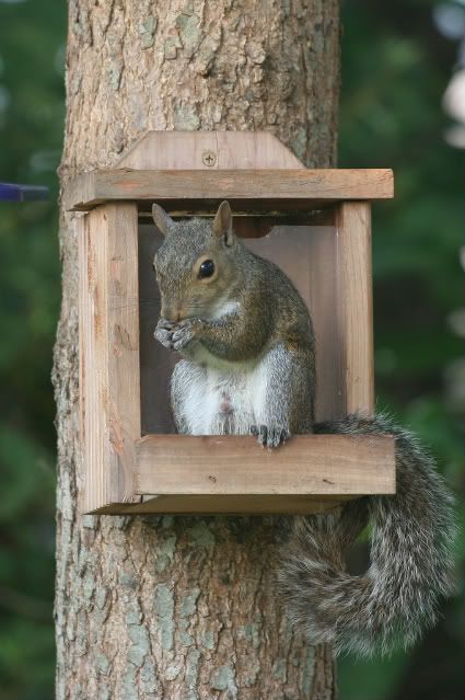 IMAGE: http://i300.photobucket.com/albums/nn33/pyroben92/Vacation172copy.jpg