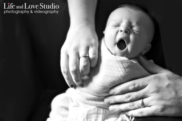 St Augustine newborn photographer