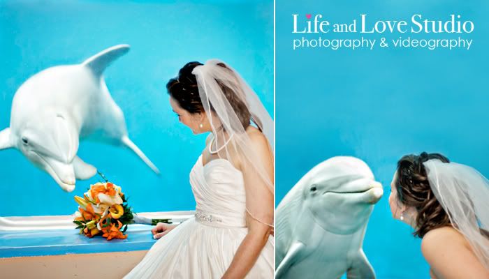 St. Augustine Marineland wedding