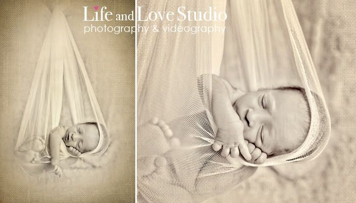 newborn portrait photography jacksonville