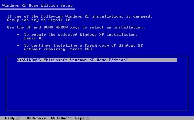 56928455oe8.jpg