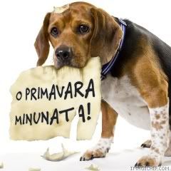 catel Pictures, Images and Photos